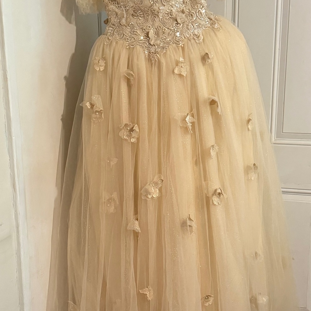 Champagne Fairytale Gown- Sz M